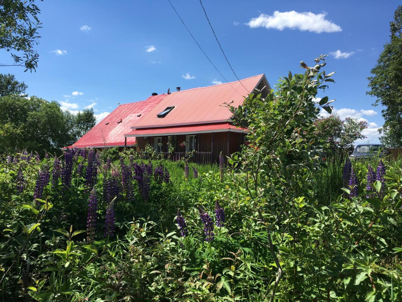 茄子住宿加早餐旅馆 Saint Hilarion 外观 照片